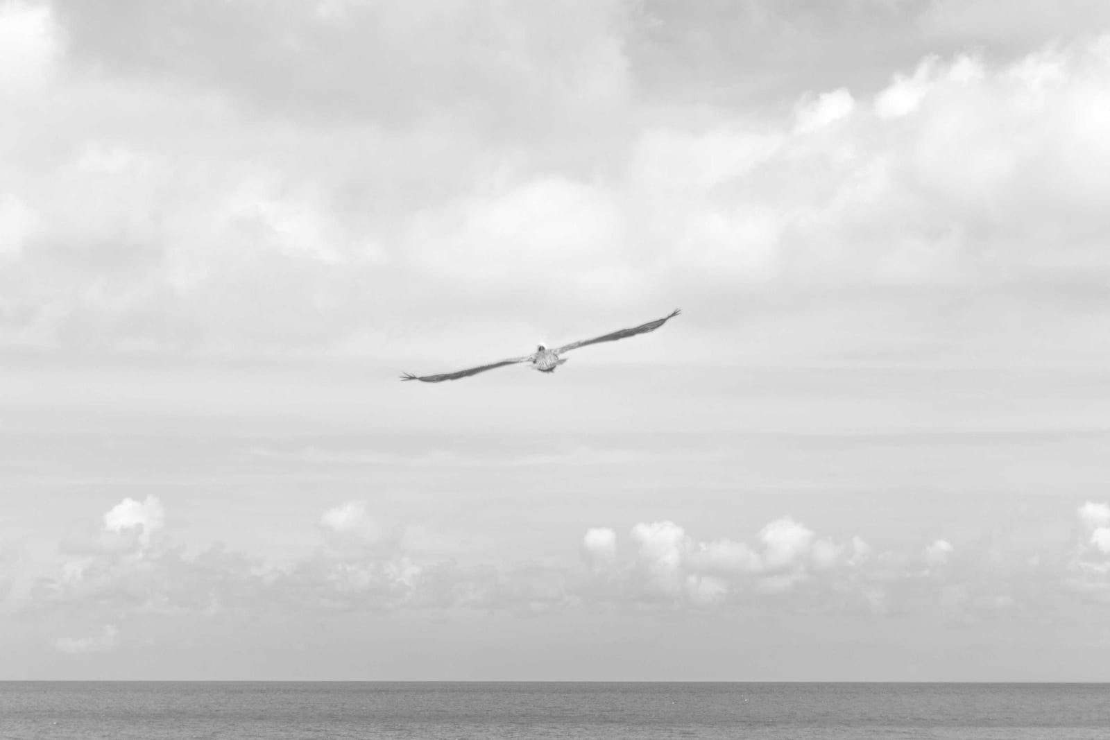 Photo from coast