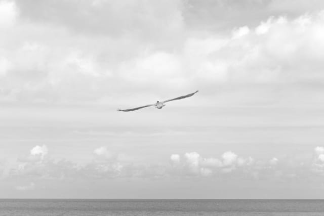 Photo from coast