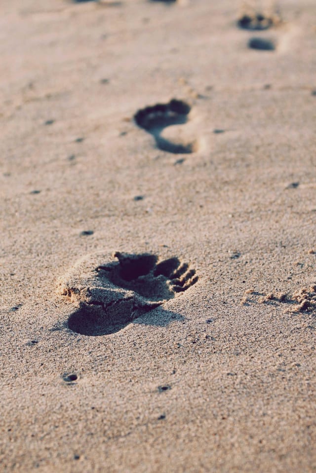 Photo from coast