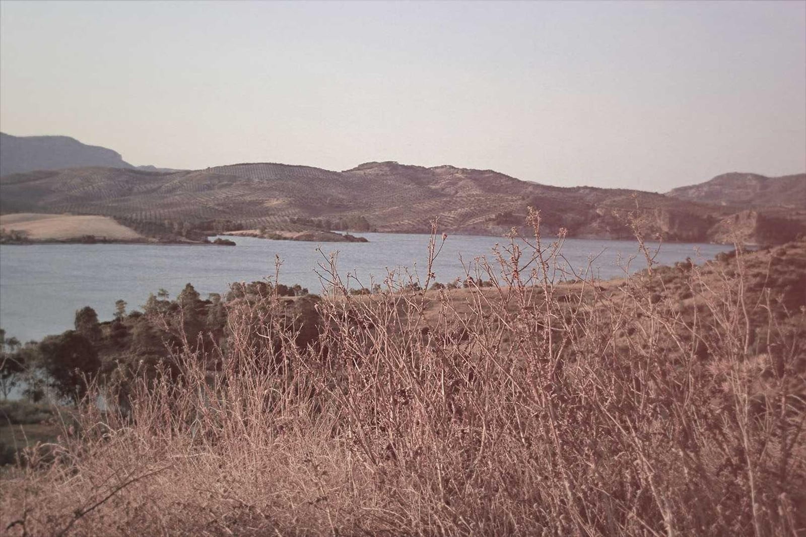 Photo from high-country