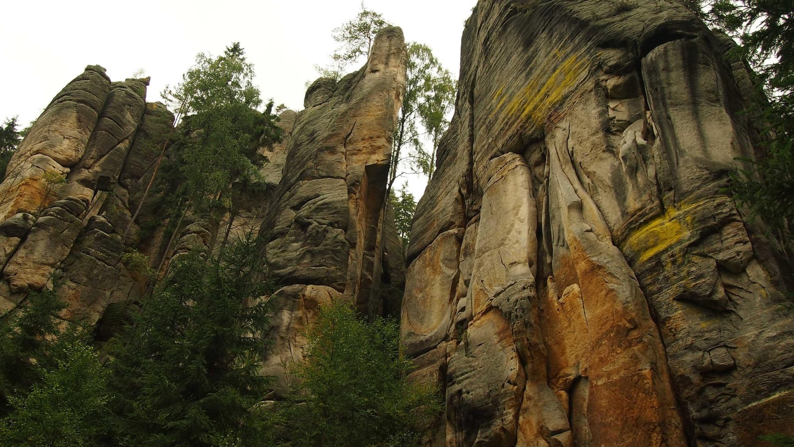 Photo from high-country