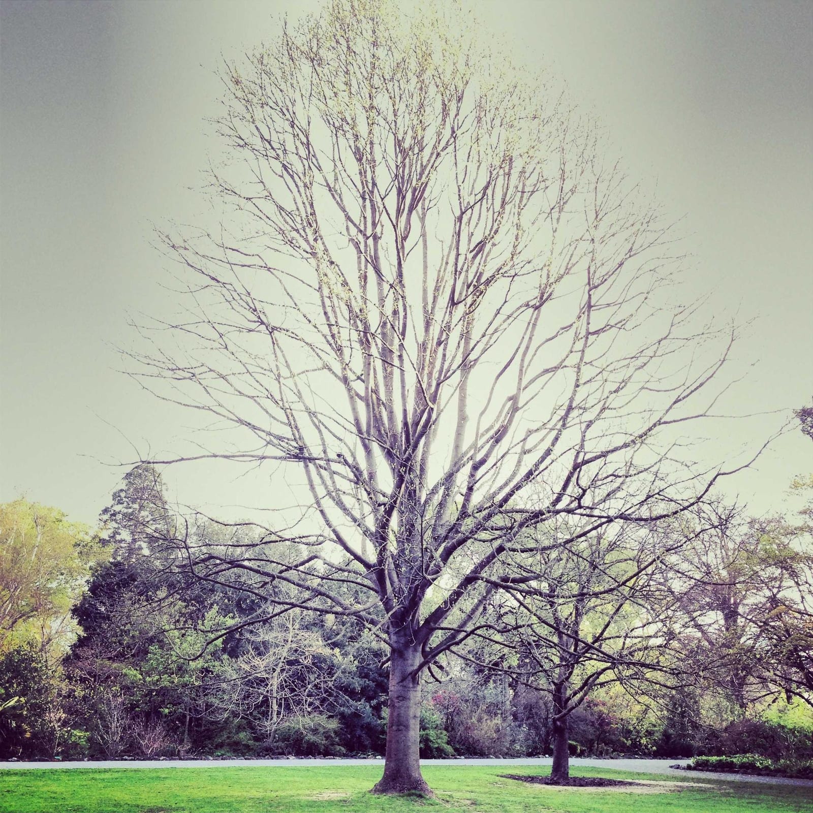 Photo from high-country