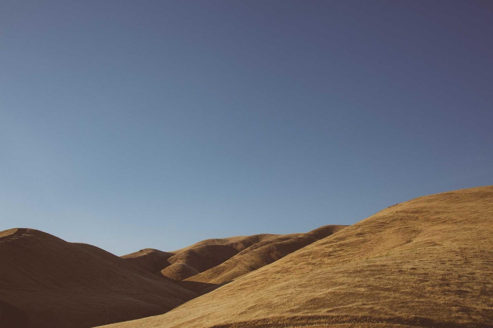 Photo from high-country