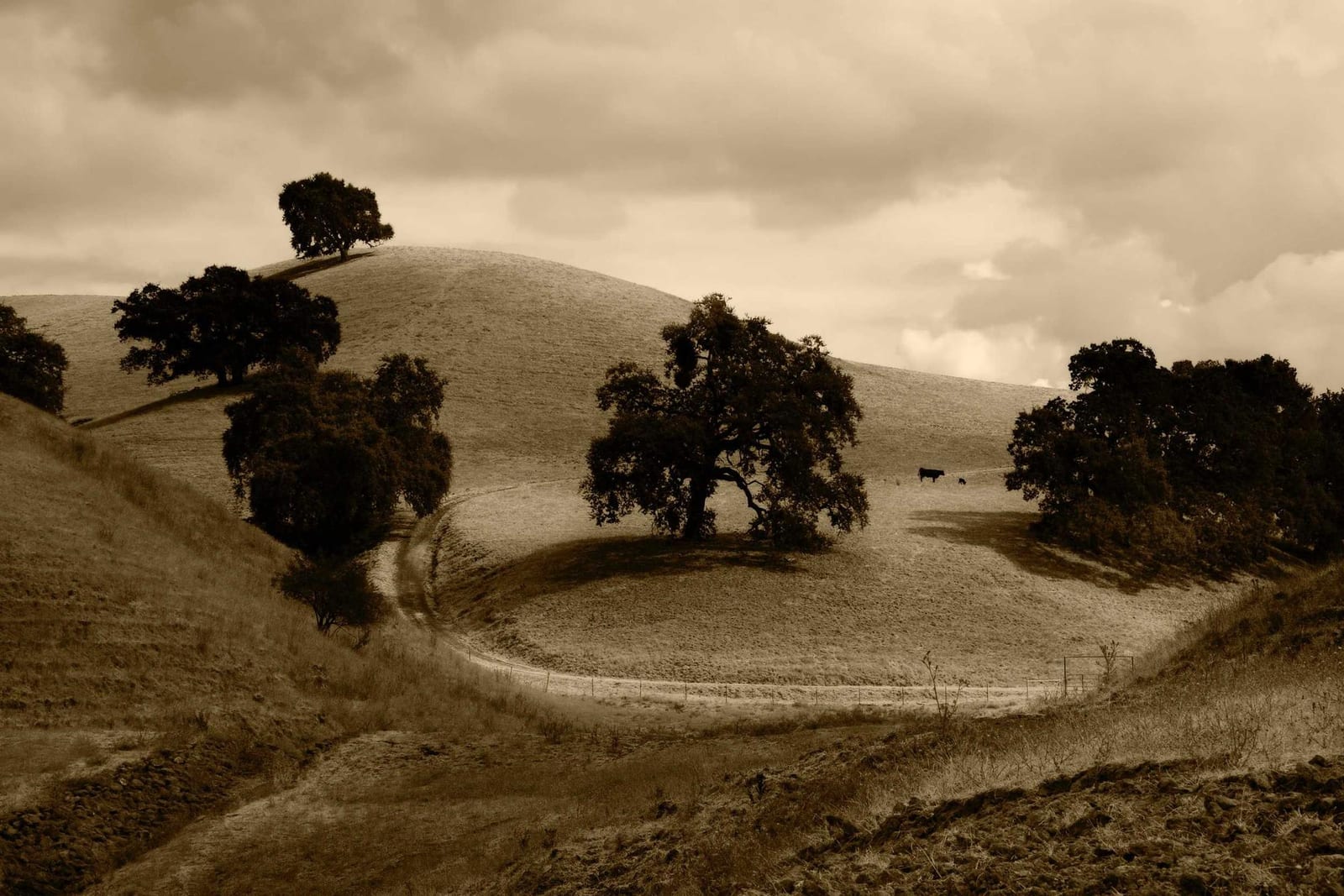 Photo from high-country