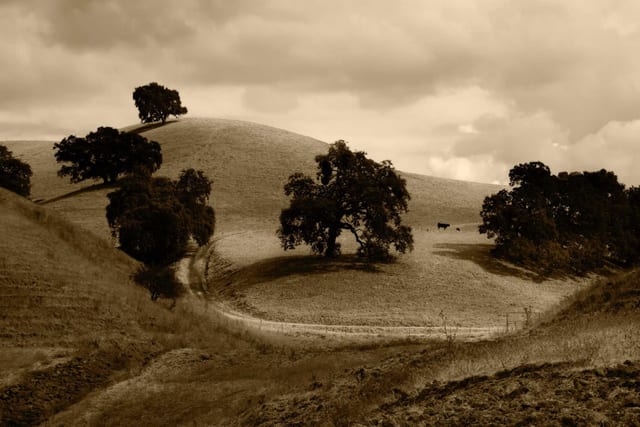 Photo from high-country
