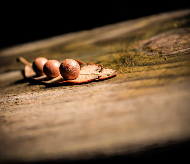 Photo from small-things