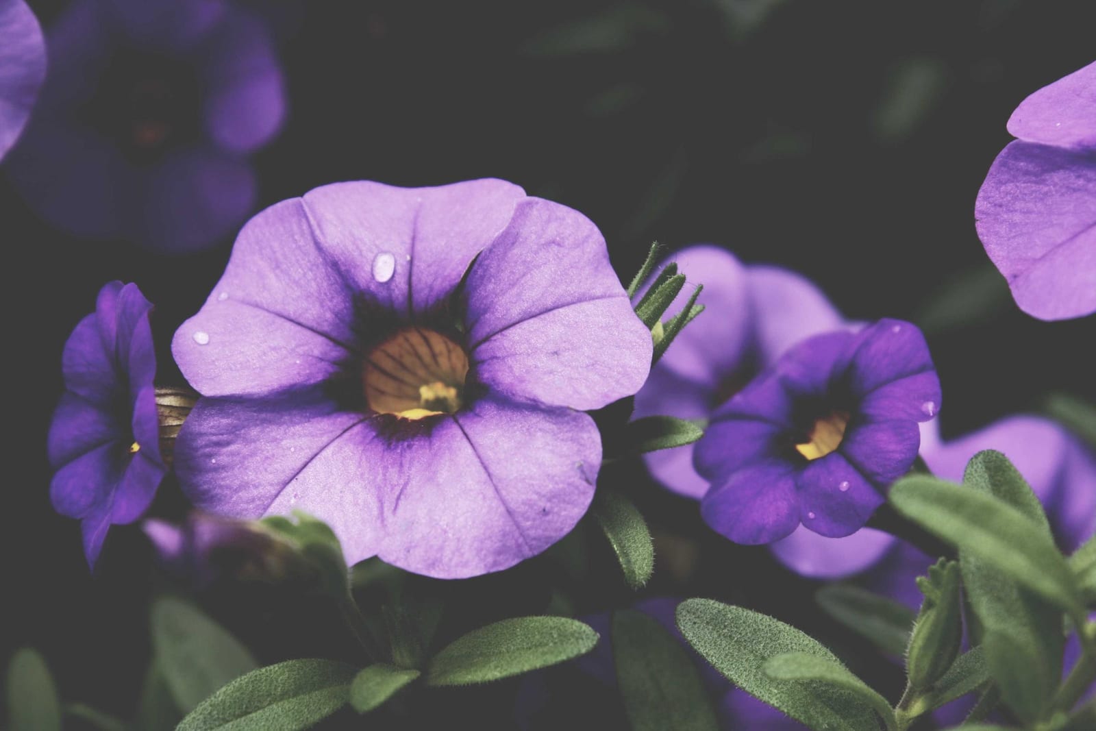 Photo from small-things