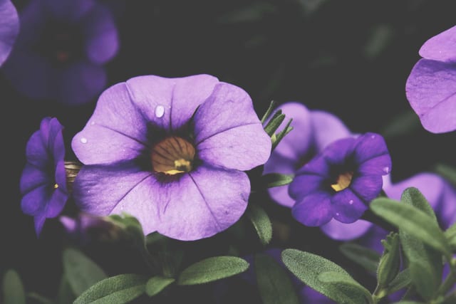 Photo from small-things