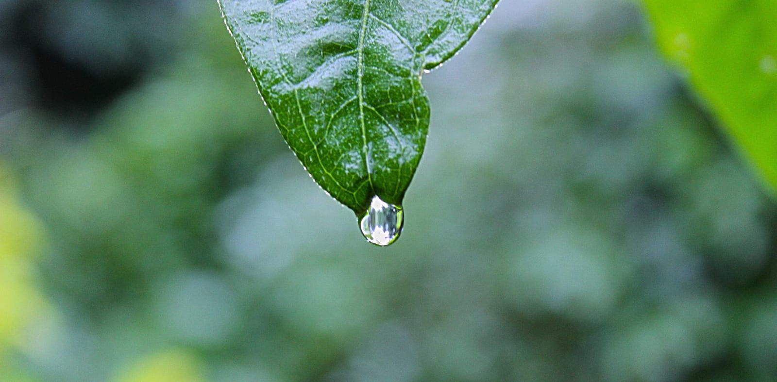 Photo from small-things