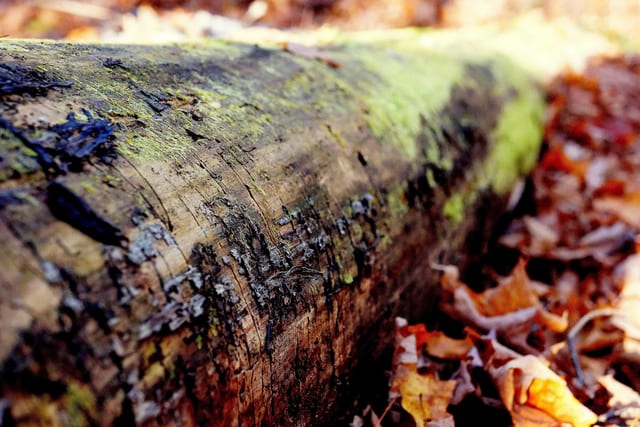 Photo from small-things